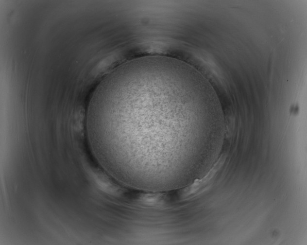 X0000101470175200807141400