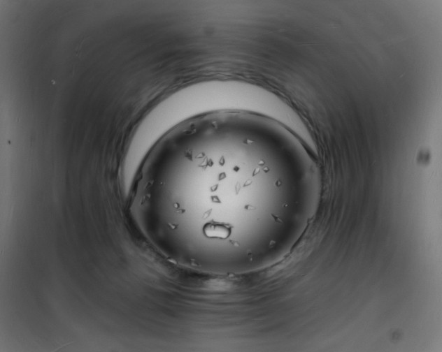 X0000101470176200807141400