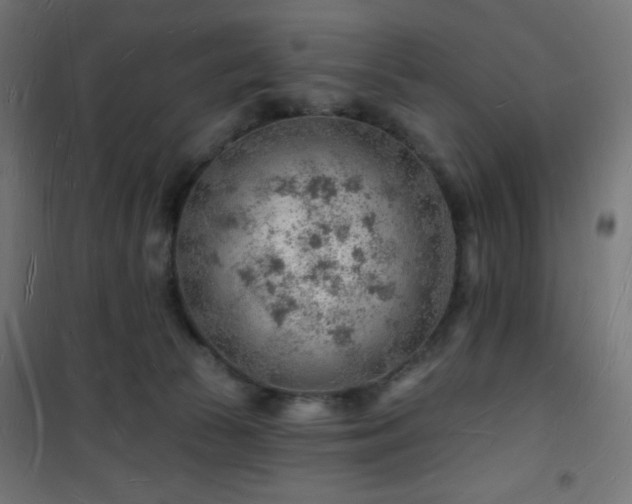 X0000101470177200807141400