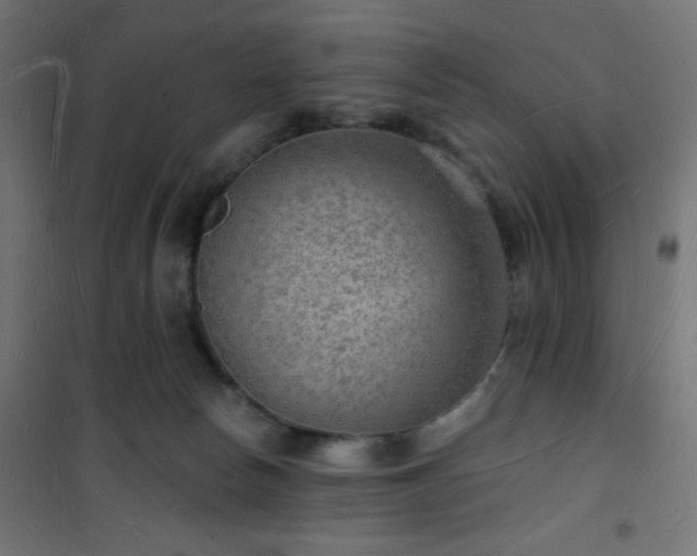 X0000101470178200807141400