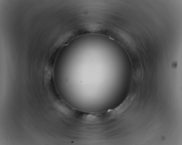 X0000101470180200807141400