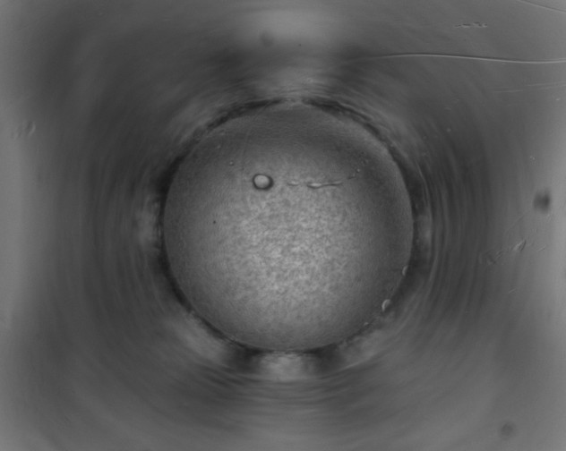 X0000101470181200807141400