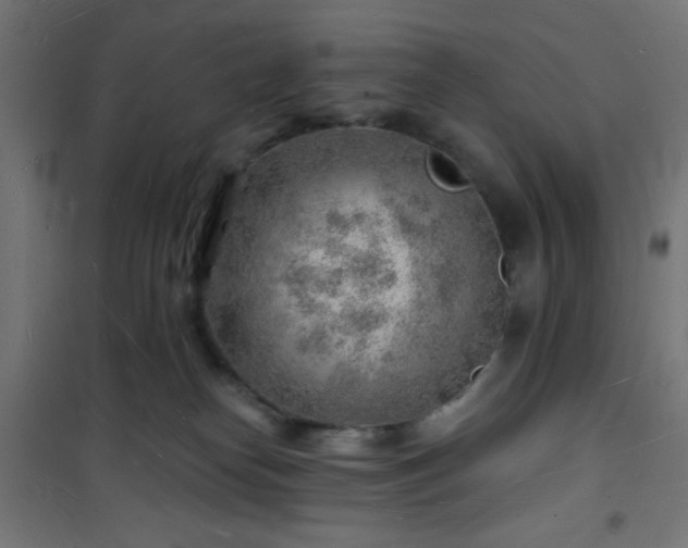 X0000101470182200807141400