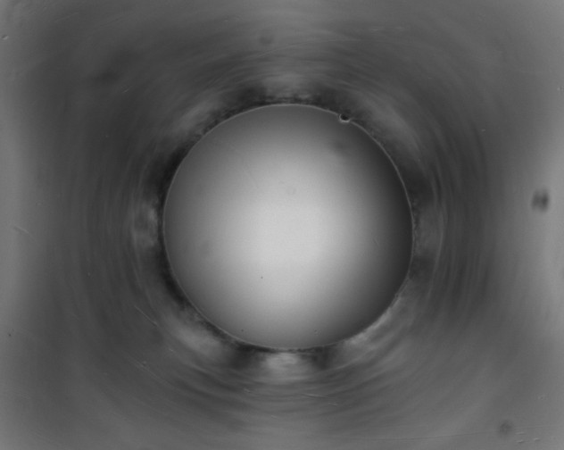 X0000101470183200807141400