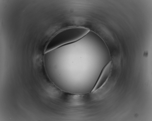 X0000101470184200807141400