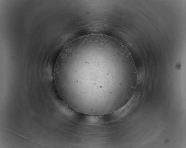 X0000101470187200807141400