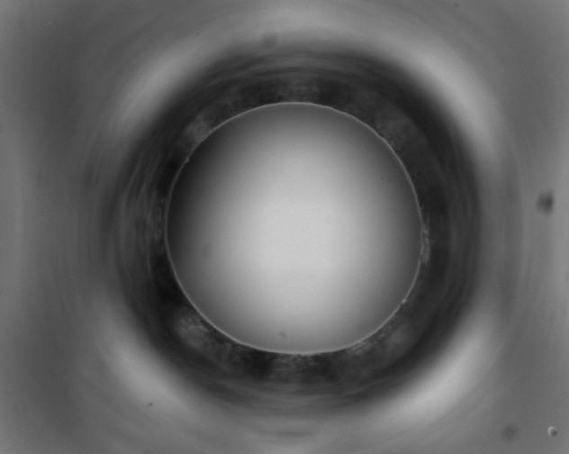 X0000101470190200807141400