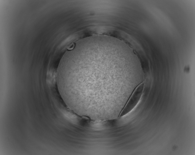 X0000101470191200807141400