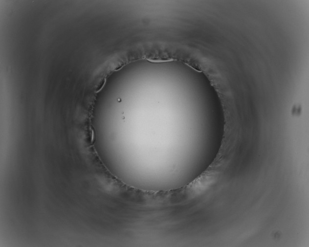 X0000101470192200807141400