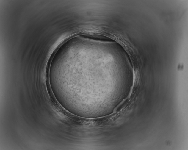 X0000101470195200807141359