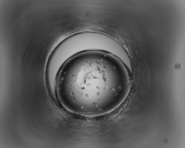 X0000101470196200807141359