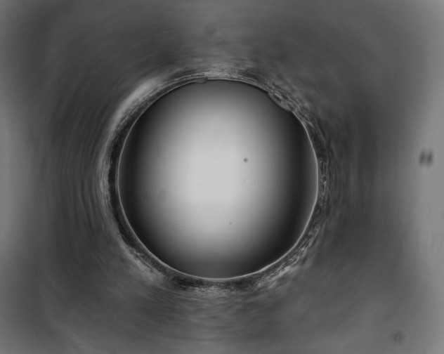 X0000101470197200807141359