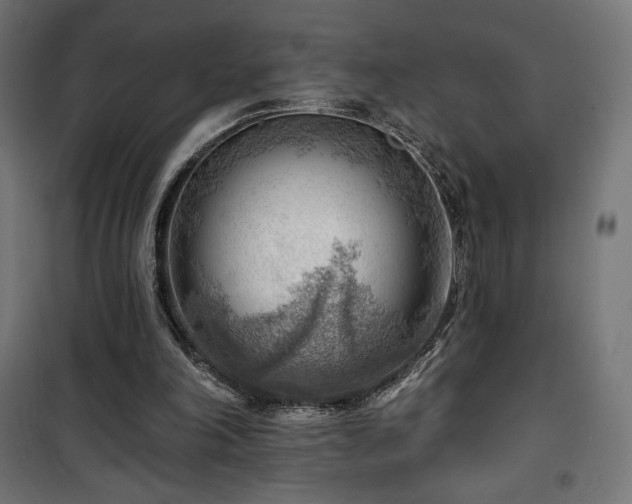 X0000101470198200807141359