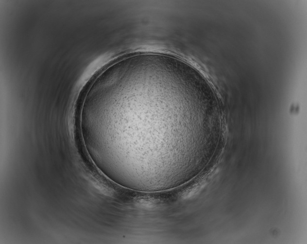 X0000101470199200807141359