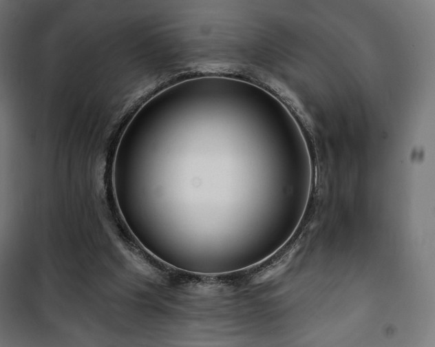 X0000101470201200807141359