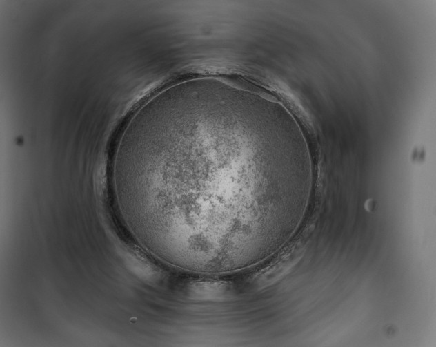 X0000101470202200807141359