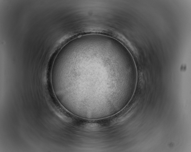 X0000101470203200807141359