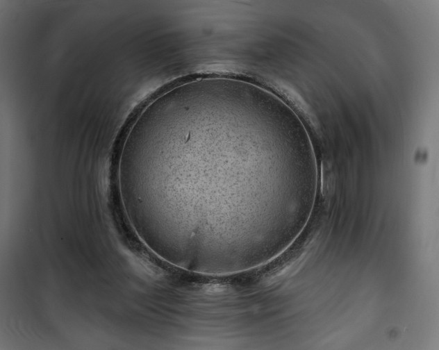 X0000101470204200807141359
