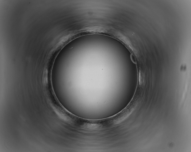 X0000101470205200807141359