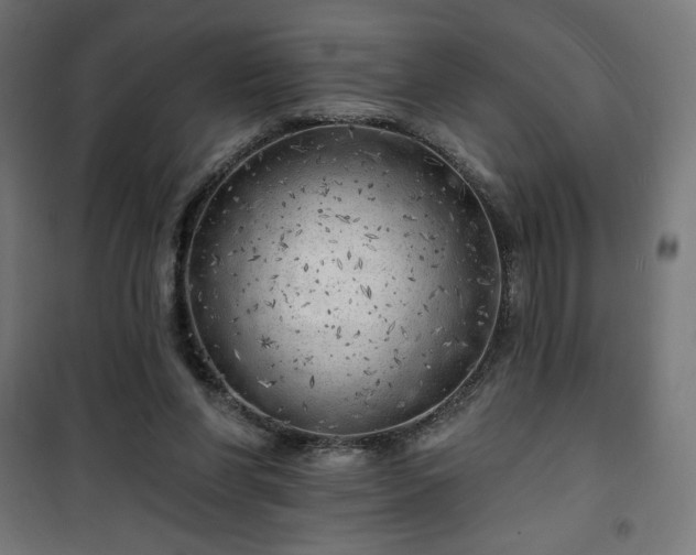 X0000101470206200807141359