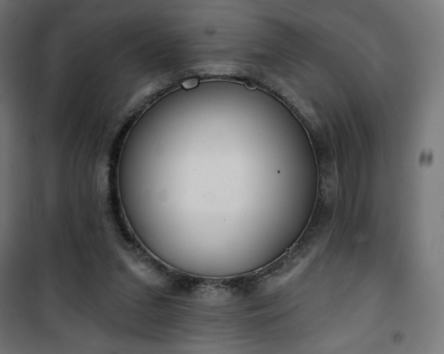 X0000101470207200807141359