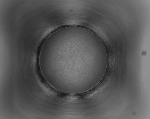 X0000101470208200807141359