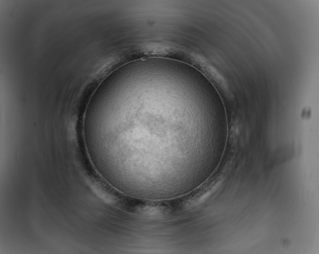 X0000101470209200807141359