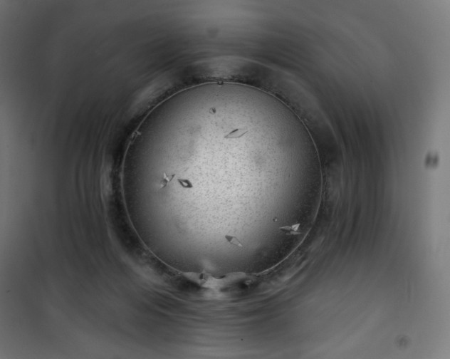 X0000101470216200807141359