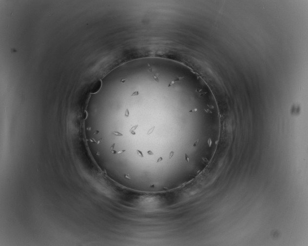 X0000101470218200807141359