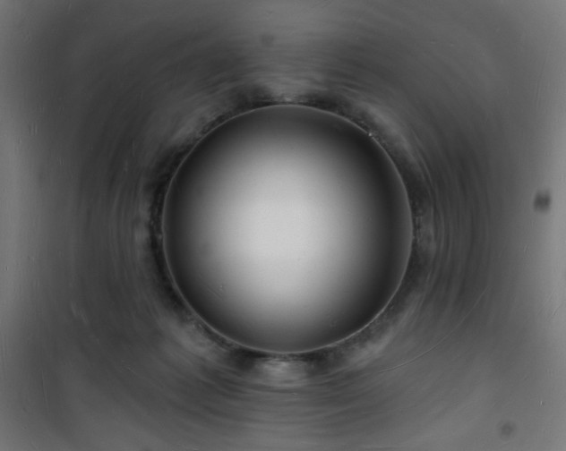 X0000101470221200807141359