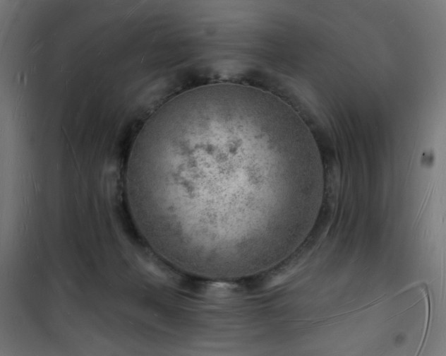 X0000101470222200807141358