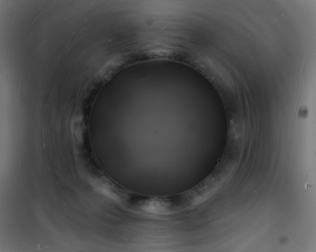 X0000101470223200807141358