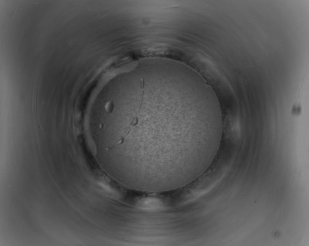 X0000101470224200807141358