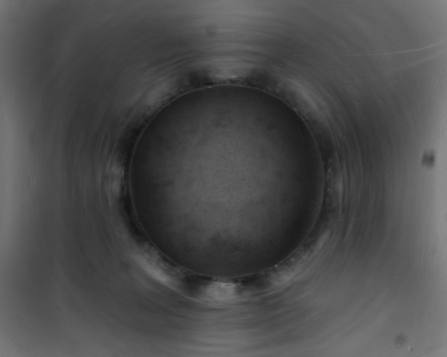 X0000101470227200807141358