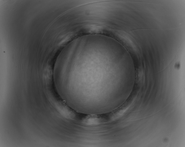 X0000101470228200807141358