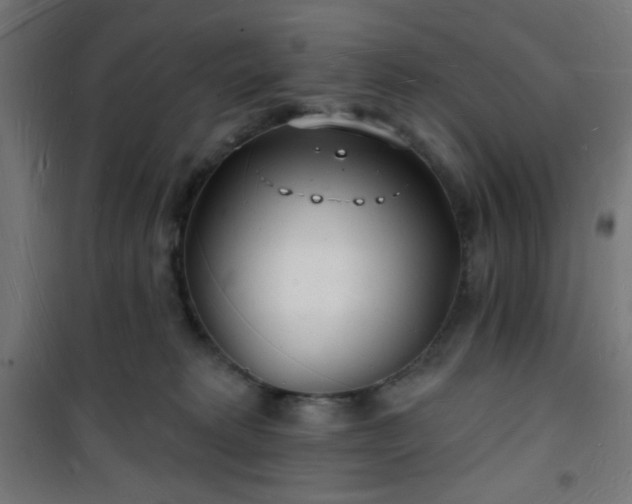 X0000101470229200807141358