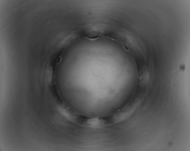 X0000101470231200807141358