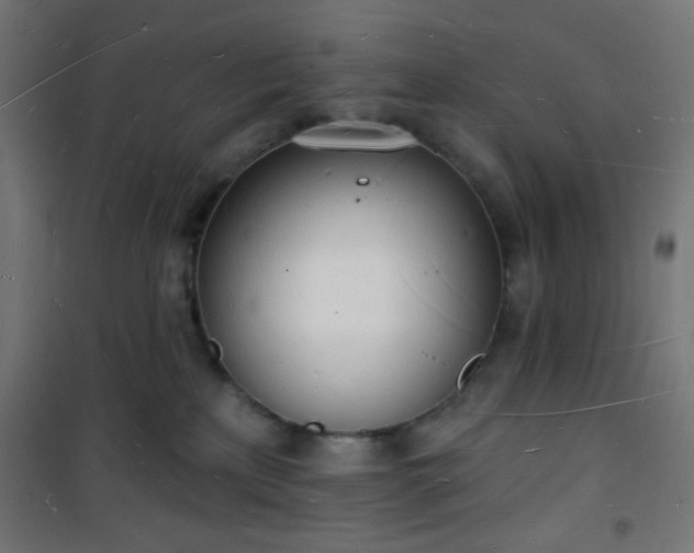 X0000101470233200807141358