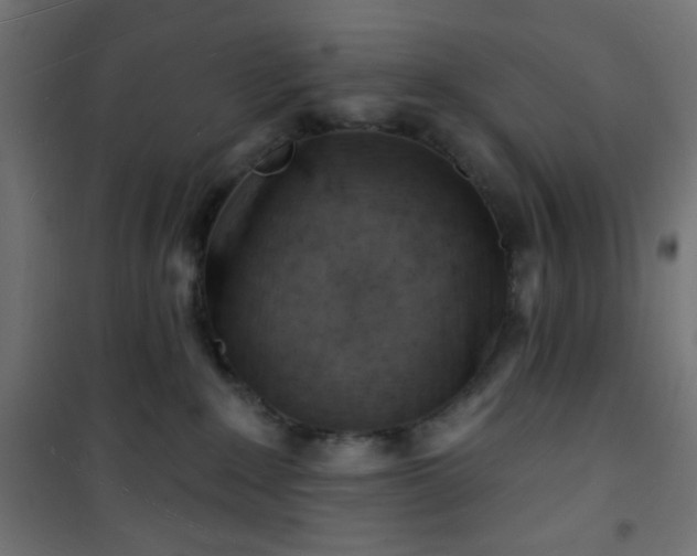 X0000101470235200807141358