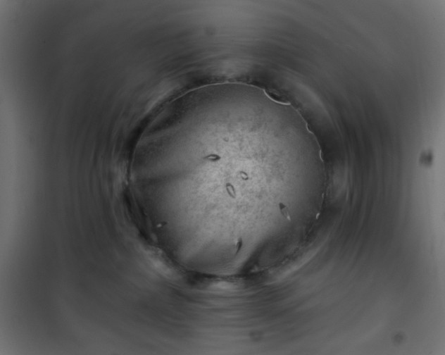 X0000101470236200807141358
