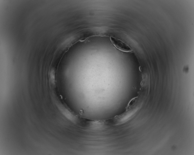 X0000101470238200807141358