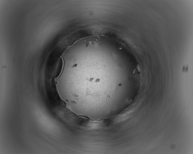 X0000101470240200807141358