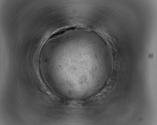 X0000101470241200807141357