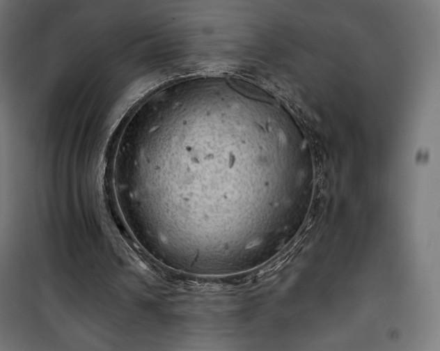X0000101470242200807141357