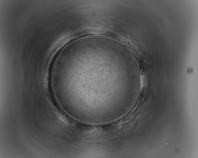 X0000101470243200807141357