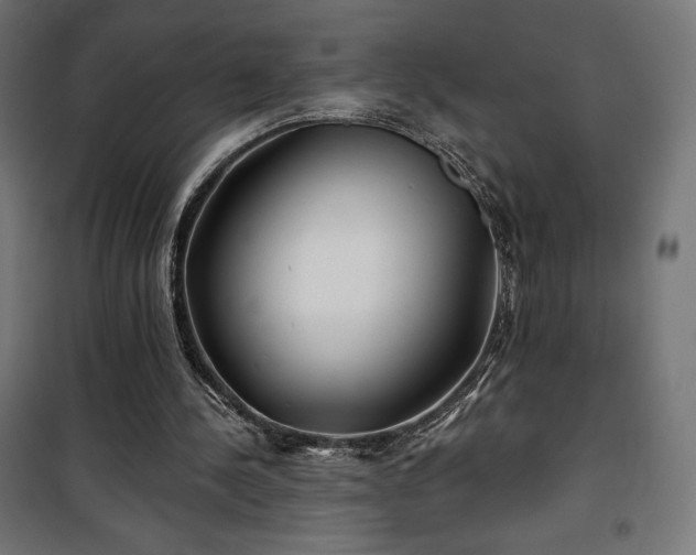 X0000101470244200807141357