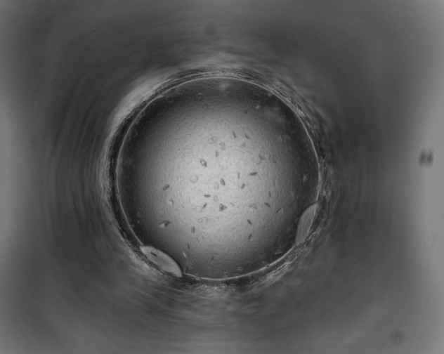 X0000101470245200807141357
