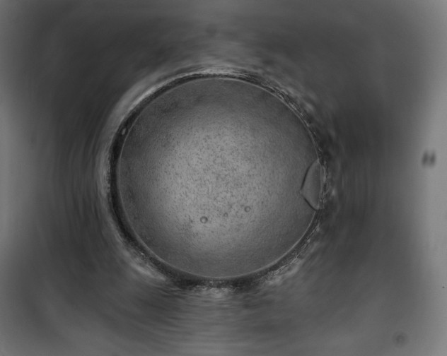 X0000101470247200807141357