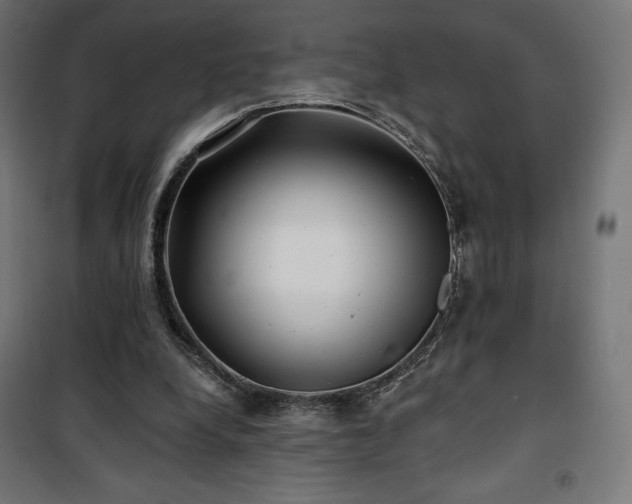 X0000101470248200807141357