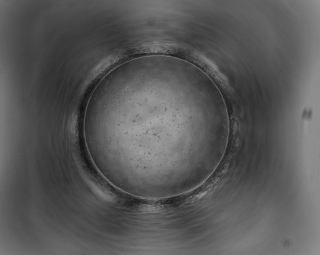 X0000101470250200807141357